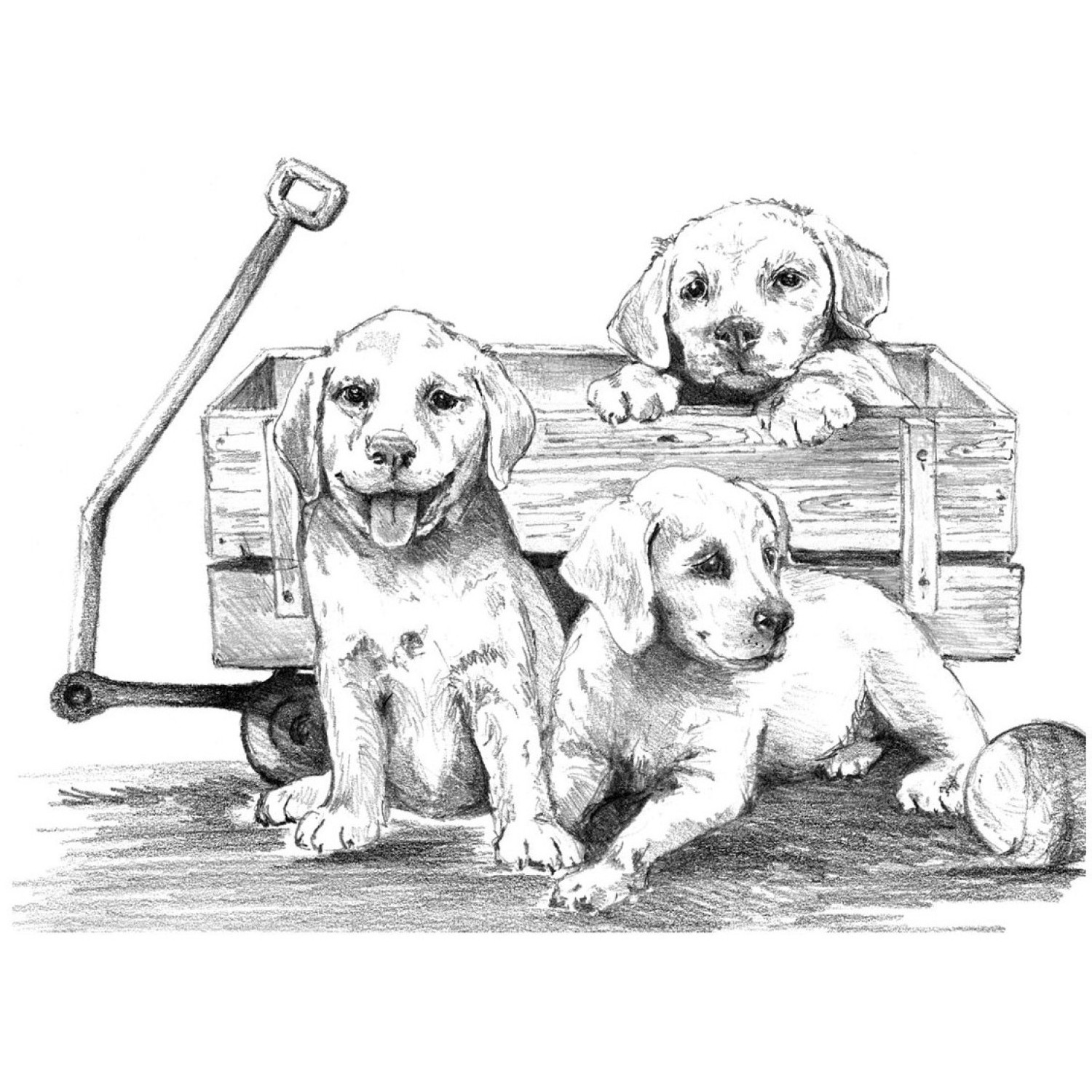 Рисуване на графика Кученца в количка, 29х39 см., SKBNL10