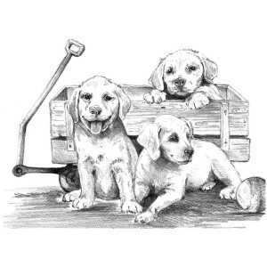 Рисуване на графика Кученца в количка, 29х39 см., SKBNL10