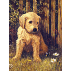 Рисуване по номера Кученце, Junior, с акрилни бои 22х30 см.