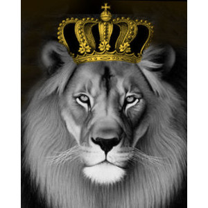 Рисуване по номера Цар Лъв, с подрамка, 40х50 см.