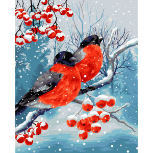 Рисуване по номера Птици през зимата, с подрамка, 40х50 см.
