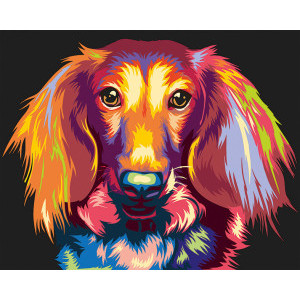 Рисуване по номера Цветно куче, с подрамка, 30х40 см.